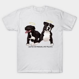 Justice for Marshall and Millions T-Shirt